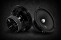 RJ Audio RJ-M65.1 (La paire) - 150wrms