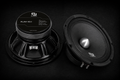 RJ Audio RJ-M10.1 - 250wrms (La paire)
