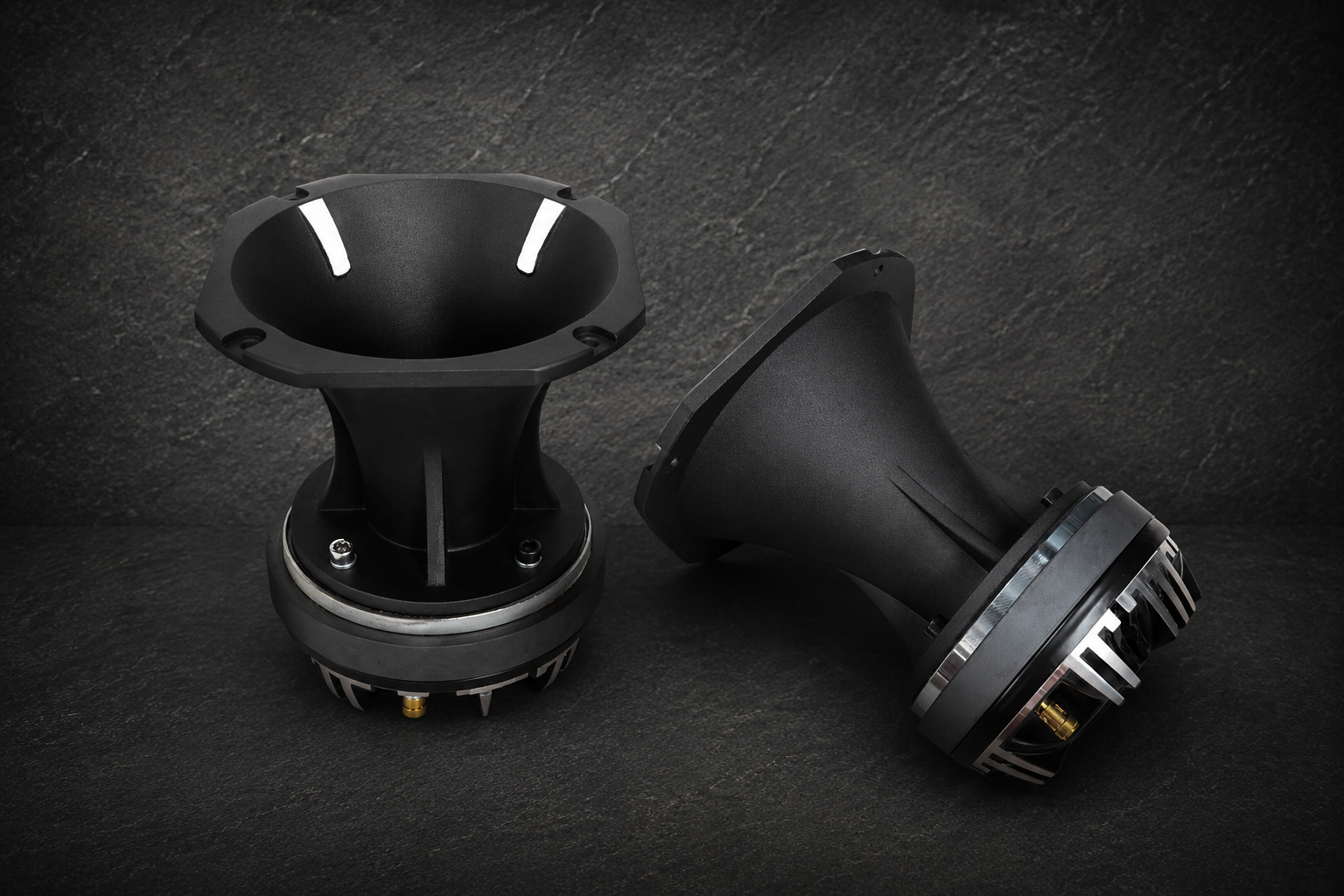 RJ Audio D1 - 300wrms